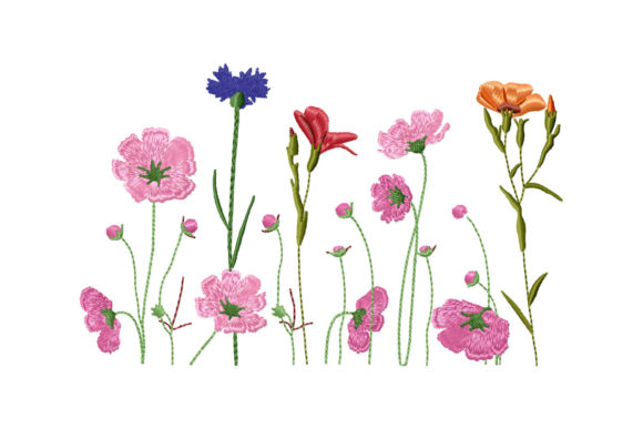 Beautiful Wildflowers Border Review