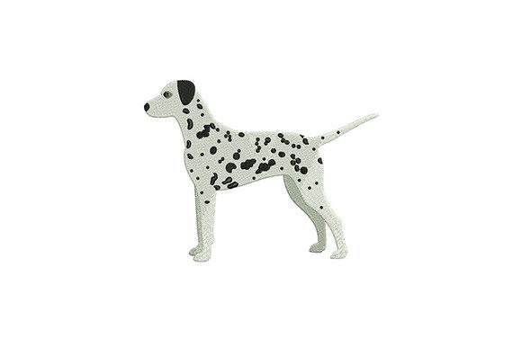 Dalmatian Dog Embroidery Review