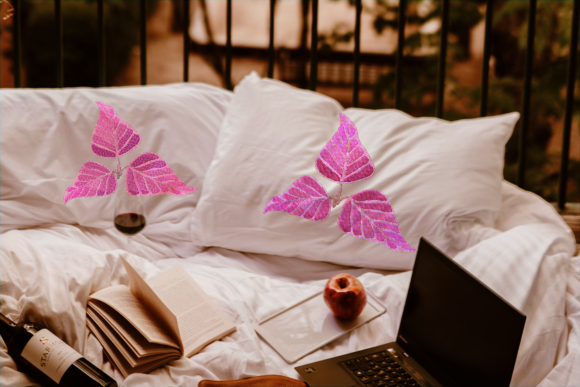 Red Aglaonema: A Designer's Review for Gift Creators